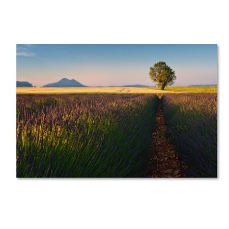 Trademark Fine Art Izidor Gasperlin 'Singularity' Canvas Art, 22x32 1X02568-C2232GG